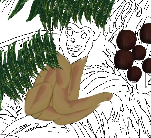 Creation of Rain Forest: Step 11